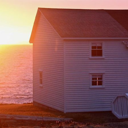 The Old Salt Box Co. - Grandma Lilly'S Villa Fogo Exteriör bild